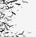 Black silhouette of bats isolated on transparent background. Halloween traditional design element. Vector illustration Royalty Free Stock Photo