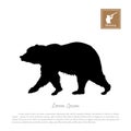 Black silhouette of bear on a white background. Forest animals Royalty Free Stock Photo