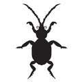 Black silhouette of a beetle on a white background. vector illustration. Hand drawing. Royalty Free Stock Photo