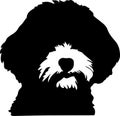 bichon frise Black Silhouette Generative Ai