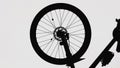 Black silhouette of a bicycle wheel on a white isolated background. Close up of round bike wheel with rubber tread tire Royalty Free Stock Photo