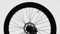 Black silhouette of a bicycle wheel on a white isolated background. Close up of round bike wheel with rubber tread tire Royalty Free Stock Photo