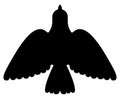 Black silhouette of a Bird flying with open wings in the sky, Pigeon Royalty Free Stock Photo