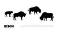 Black silhouette of bison herf on white background. Buffalo isolated drawing. Wild bull image. Animals of North America