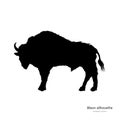 Black silhouette of bison on white background. Buffalo isolated drawing. Wild bull image. Animals of North America