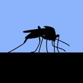 Black silhouette of biting mosquito