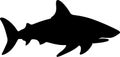 bull shark Black Silhouette Generative Ai