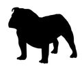 Black Silhouette Bulldog vector Royalty Free Stock Photo