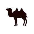 Black silhouette of camel desert animal flat style, vector illustration Royalty Free Stock Photo