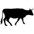 Black silhouette of cash cow on white background Royalty Free Stock Photo