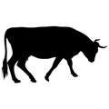 Black silhouette of cash cow on white background Royalty Free Stock Photo