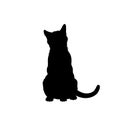 Black silhouette of cat. Isolated image of kitty. Farm pet. Veterinary clinic logo