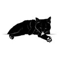 Black silhouette of a cat licking his paw Royalty Free Stock Photo