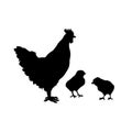 Black silhouette of chicken with chicks. Isolated hen profile. Icon of farm bird. Market logo. Royalty Free Stock Photo