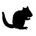 Silhouette of Chipmunk Vector Illustration on White Background Royalty Free Stock Photo