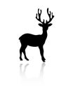 Black silhouette of Christmas reindeer with reflection. Royalty Free Stock Photo