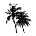 Black silhouette coconut tree swayed by the wind, isolated natural plant sign, vector