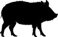 collared peccary Black Silhouette Generative Ai