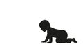 Black silhouette, crawling child. White isolated background Royalty Free Stock Photo