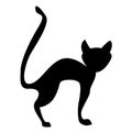 Black silhouette of curved cat isolated on white background Royalty Free Stock Photo