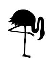 Black silhouette. Cute animal, peach pink flamingo. Cartoon animal character design. Flat vector illustration isolated on white Royalty Free Stock Photo