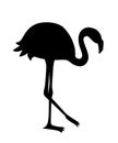 Black silhouette. Cute animal, peach pink flamingo. Cartoon animal character design. Flat vector illustration isolated on white Royalty Free Stock Photo