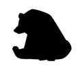 Black silhouette. Cute Brown bear. Carnivoran mammals, family Ursidae. Cartoon animal design. Flat illustration isolated on