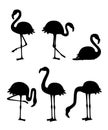 Black silhouette. Cute cartoon peach pink flamingo set. Funny flamingo collection. Cartoon animal character design. Flat vector Royalty Free Stock Photo