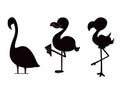 Black Silhouette. Cute Cartoon Peach Pink Flamingo Set Vector set silhouettes Royalty Free Stock Photo