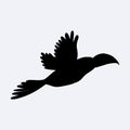 Black silhouette of a cute flying toucan. Vector