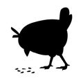 Black silhouette Cute little chick standing and eating crumbs on the floor side view cartoon character design flat vector Royalty Free Stock Photo