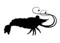 Black silhouette. Cute shrimp. Cartoon animal character design. Swimming crustaceans. Flat  illustration isolated on white Royalty Free Stock Photo