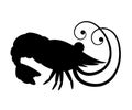 Black silhouette. Cute shrimp. Cartoon animal character design. Swimming crustaceans. Flat  illustration isolated on white Royalty Free Stock Photo