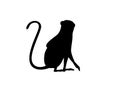 Black silhouette cute vervet monkey cartoon animal design flat vector illustration isolated on white background Royalty Free Stock Photo