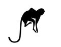 Black silhouette cute vervet monkey cartoon animal design flat vector illustration isolated on white background Royalty Free Stock Photo