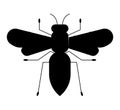 Black silhouette of a cute wasp isolated on white background, insect logo