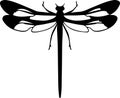 damselfly Black Silhouette Generative Ai