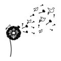 black silhouette dandelion with fly birds