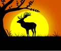 Black silhouette of deer Royalty Free Stock Photo