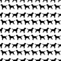 Black silhouette of a dog on a white background. Vector illustration. Seamless pattern. Royalty Free Stock Photo