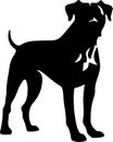 Dogo Argentino Black Silhouette Generative Ai Royalty Free Stock Photo