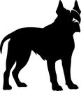 Dogo Argentino Black Silhouette Generative Ai Royalty Free Stock Photo