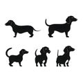 Black silhouette of dogs, dachshunds on white background