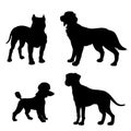 Black silhouette of dogs Dalmatian, Poodle, Irish Setter, Royalty Free Stock Photo