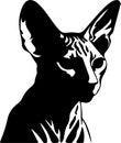 Donskoy Don Sphynx Cat Black Silhouette Generative Ai