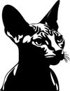 Donskoy Don Sphynx Cat Black Silhouette Generative Ai