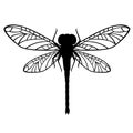 Black silhouette dragonfly flat vector illustration isolated on white background