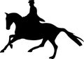 Dressage horse and rider silhouette