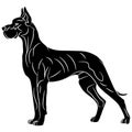 Black silhouette of an English Great Dane Royalty Free Stock Photo