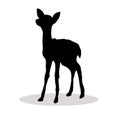 Black silhouette Fawn white background Royalty Free Stock Photo